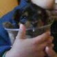 linda esta en un vaso sujetado por mario(mi hermanito)